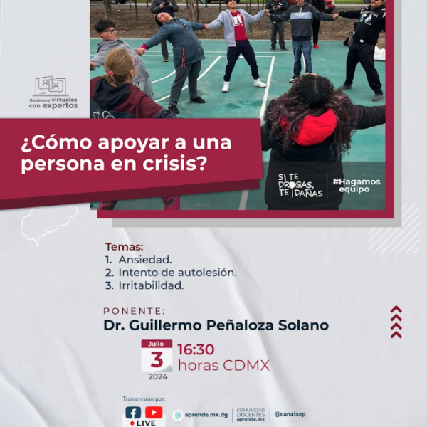 Conferencia en línea 